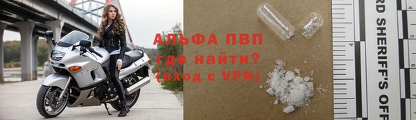 крисы Аркадак