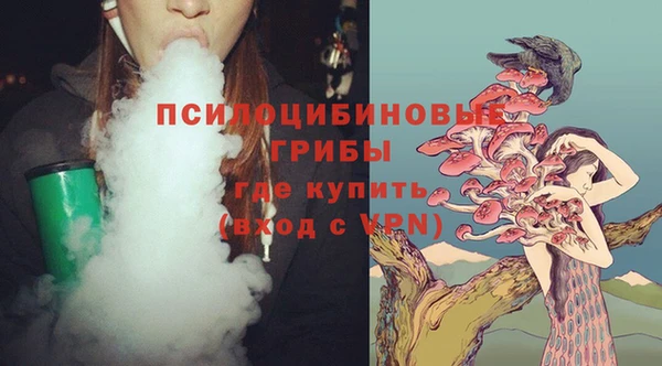apvp Карталы