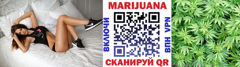 Шишки марихуана планчик Тайга